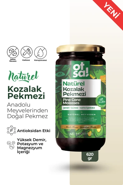 Otsa Natürel Kozalak Pekmezi 620g ürün görseli 1