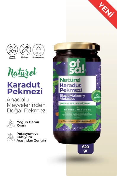 Otsa Natürel Karadut Pekmezi 620g ürün görseli 1