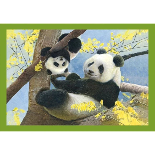 Clementoni Baby Cuddles Puzzle 4 in1 - Resim 2