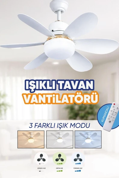 Waldern 6 Kanatlı, Işıklı Sessiz Çalışma Tavan Tip Vantilatör ürün görseli 1