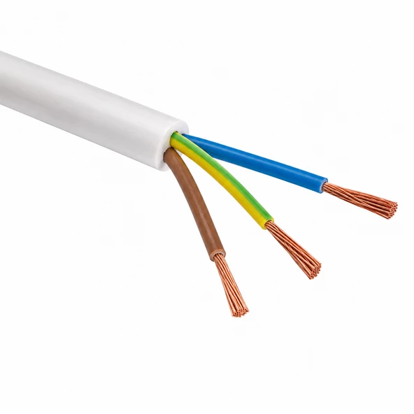 Elektrik Kablosu 3x2.5 mm TTR Kablo 1m Bakır İletkenli Yüksek Performans ürün görseli 1