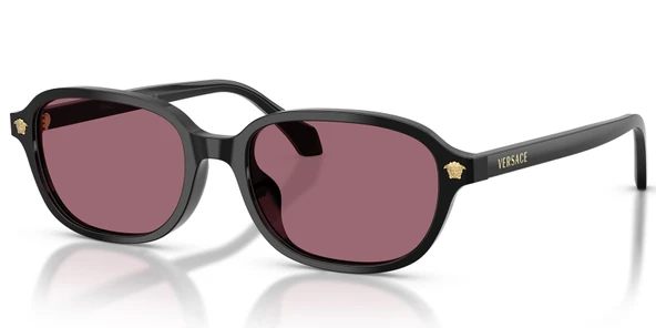 Versace VE4514D GB1/1A 53 Unisex Güneş Gözlüğü ürün görseli 1