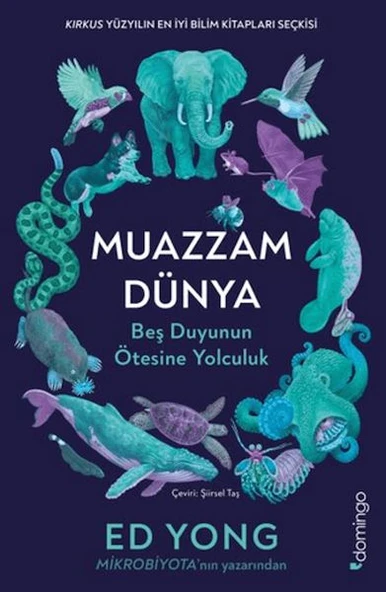 Muazzam Dünya: Beş Duyunun Ötesine Yolculuk ürün görseli 1