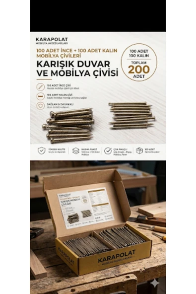 KARAPOLAT 200 Adet Karışık Duvar Çivisi 100 İnce + 100 Kalın Beton Çivisi ürün görseli 1