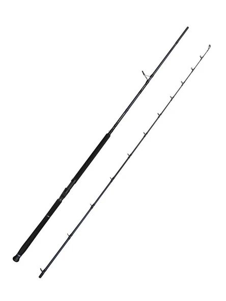 Defiance SG2 Shore Jig 3.05m 30-100gr 2P. Olta Kamışı ürün görseli 1