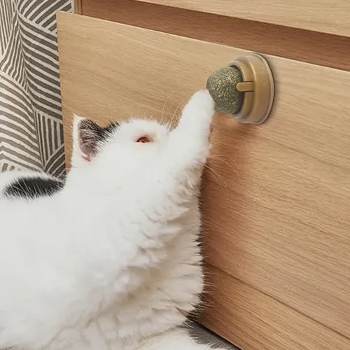 Kedi Nanesi Oyun Topu - Resim 4