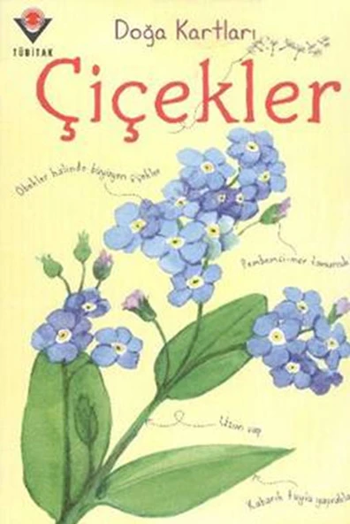 Doğa Kartları - Çiçekler ürün görseli 1