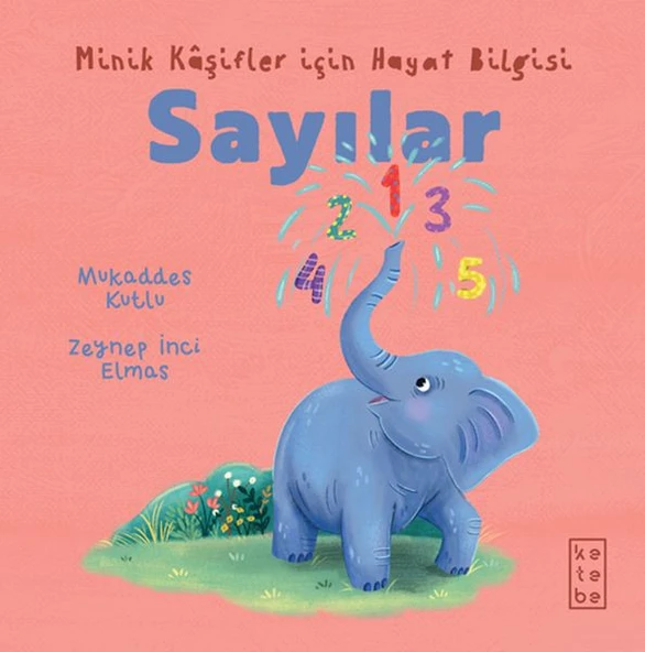Minik Kâşifler için Hayat Bilgisi - Sayılar ürün görseli 1