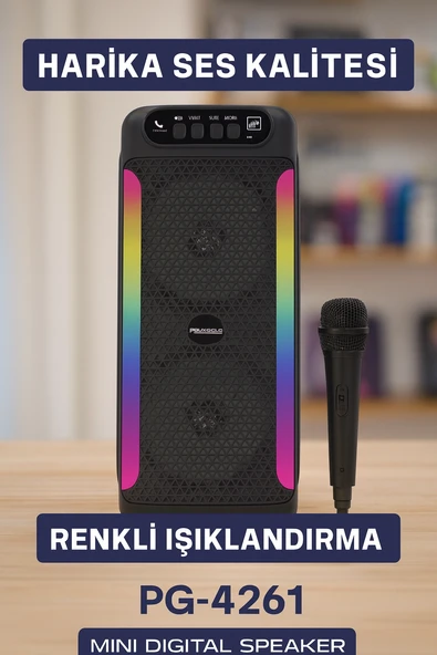 Pg4261 Hoparlör - Resim 2