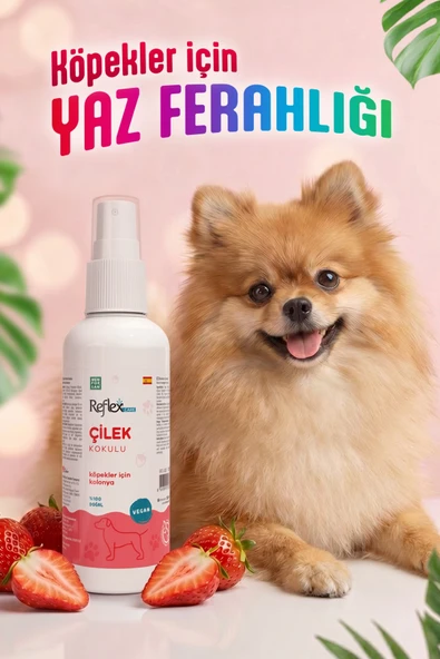 Reflex Care Çilek Kokulu Köpek Kolonyası 125 ml ürün görseli 1
