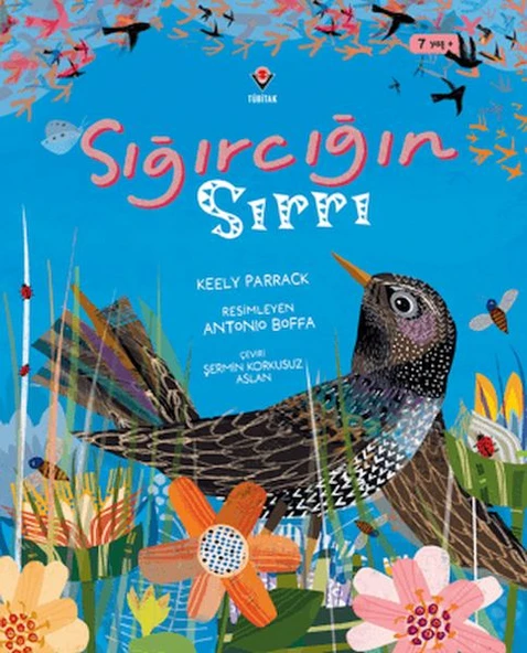 Sığırcığın Sırrı ürün görseli 1