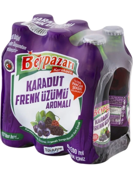 Beypazarı Karadut Frenk Üzümü Aromalı Doğal Zengin Mineralli Gazlı İçecek 6X200 ml ürün görseli 1