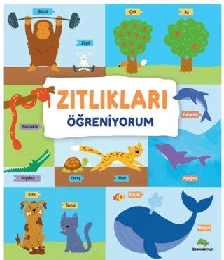 Zıtlıkları Öğreniyorum ürün görseli 1