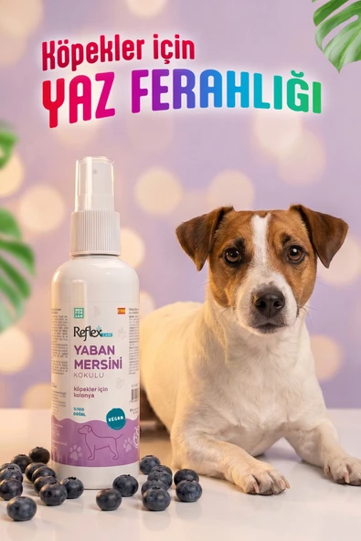 Reflex Care Yaban Mersini Kokulu Köpek Kolonyası 125 ml ürün görseli 1