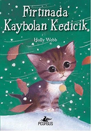 Fırtınada Kaybolan Kedicik ürün görseli 1