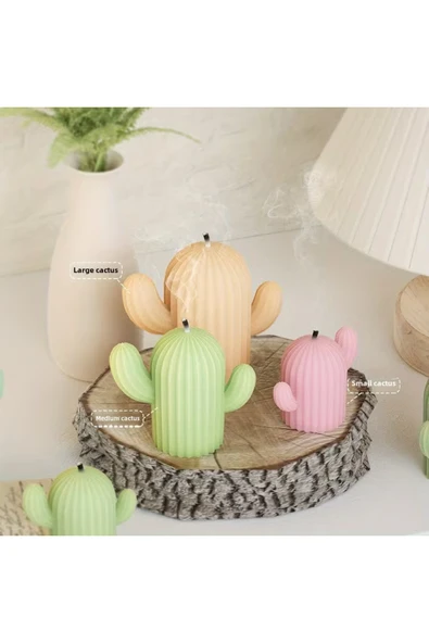 Silikon Mum Kalıbı Kaktüs Mum Kalıbı - Resim 7
