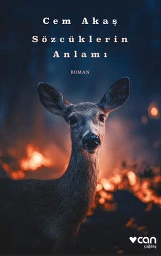 Sözcüklerin Anlamı ürün görseli 1