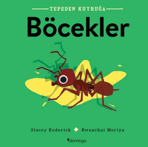 Tepeden Kuyruğa - Böcekler ürün görseli 1