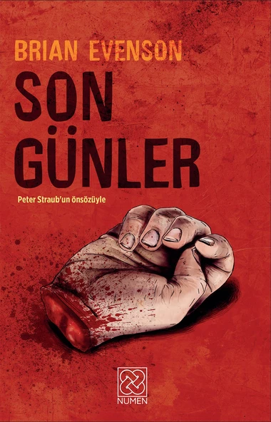Son Günler ürün görseli 1