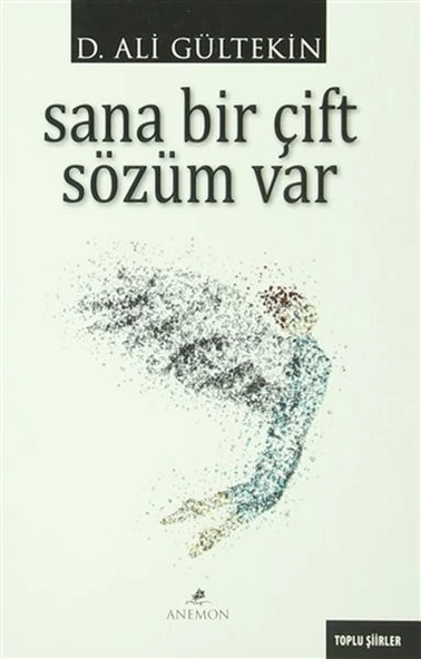 Sana Bir Çift Sözüm Var ürün görseli 1