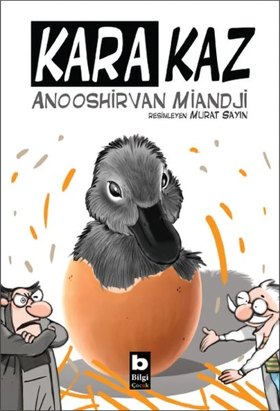 Kara Kaz ürün görseli 1