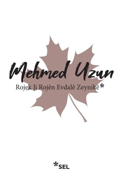 Rojek Ji Rojen Evdale Zeynike ürün görseli 1