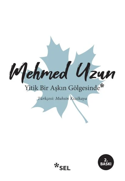 Yitik Bir Aşkın Gölgesinde ürün görseli 1