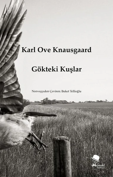 Gökteki Kuşlar ürün görseli 1