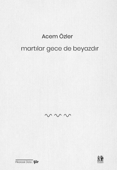 Martılar Gece de Beyazdır ürün görseli 1