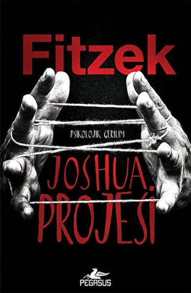 Joshua Projesi ürün görseli 1