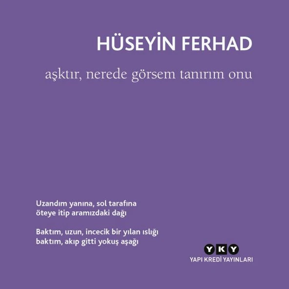 Aşktır, Nerede Görsem Tanırım Onu ürün görseli 1