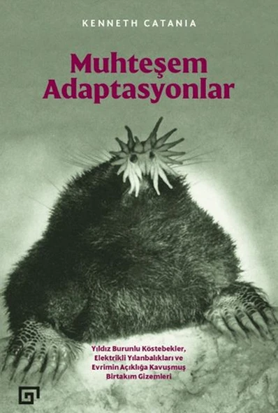 Muhteşem Adaptasyonlar ürün görseli 1