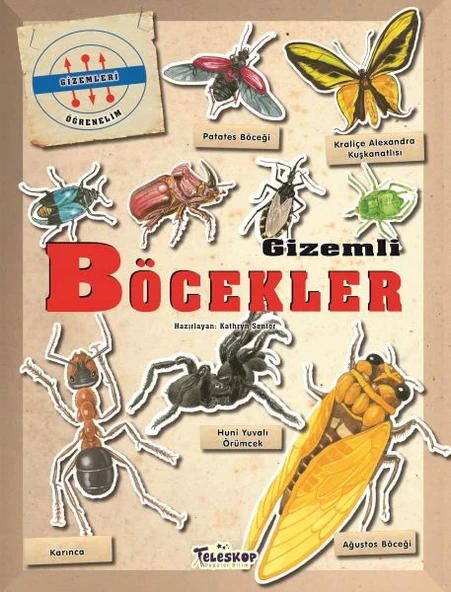 Gizemleri Öğrenelim - Gizemli Böcekler ürün görseli 1