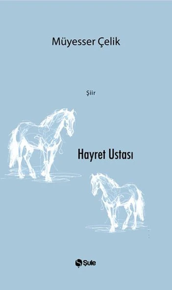 Hayret Ustası ürün görseli 1