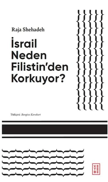 İsrail Neden Filistin'den Korkuyor? ürün görseli 1