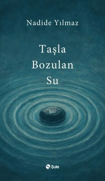 Taşla Bozulan Su ürün görseli 1
