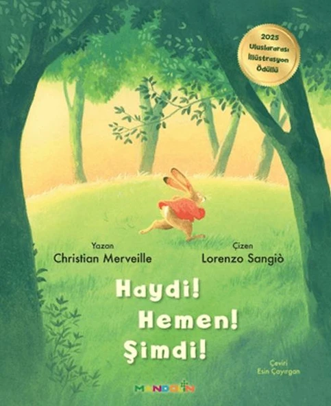 Haydi! Hemen! Şimdi! ürün görseli 1