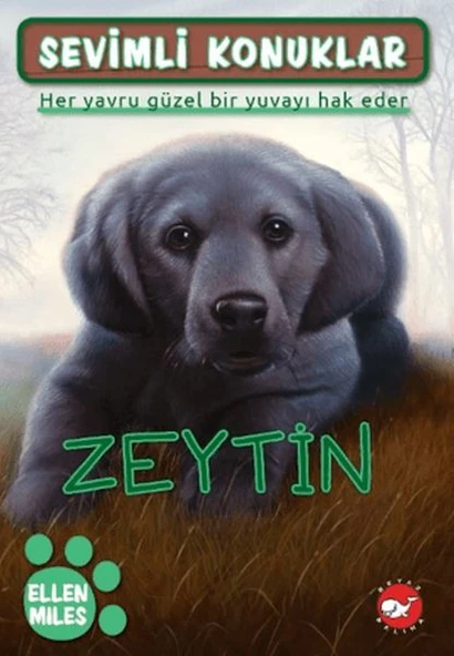 Sevimli Konuklar 3 - Zeytin ürün görseli 1