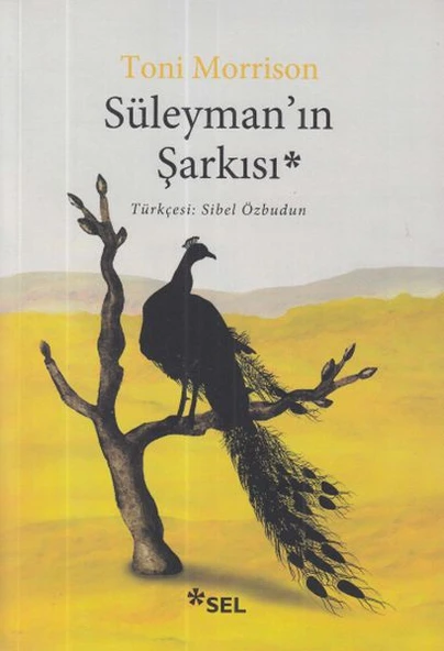 Süleyman’ın Şarkısı ürün görseli 1