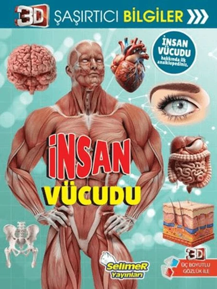 3D Şaşırtıcı Bilgiler - İnsan Vücudu ürün görseli 1