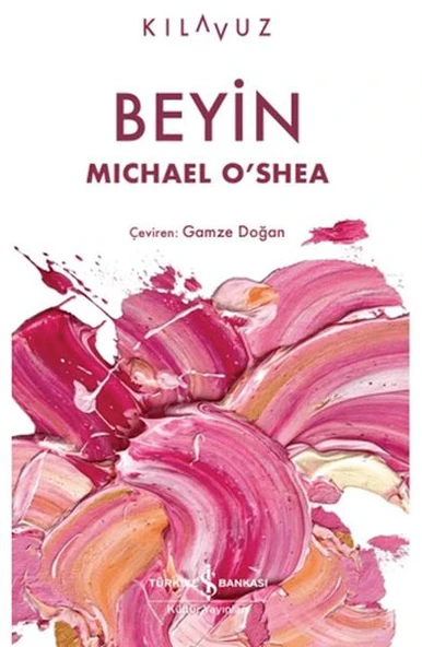 Beyin ürün görseli 1