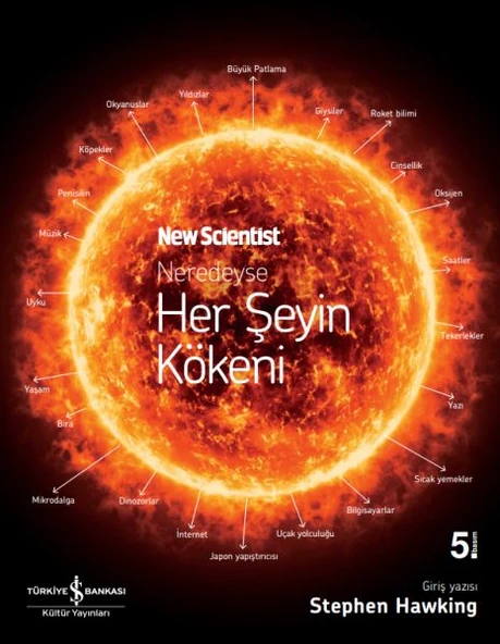 Neredeyse Her Şeyin Kökeni ürün görseli 1
