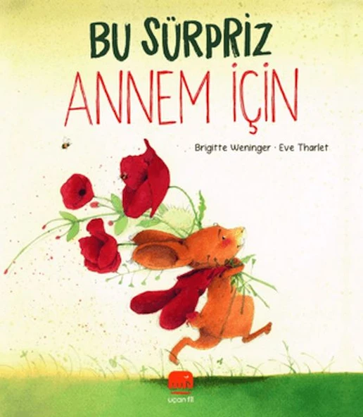 Bu Sürpriz Annem İçin ürün görseli 1