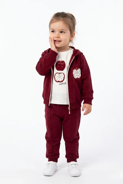 Toontoy Kız Çocuk 3'lü Eşofman Takımı Uzun Kollu Bisiklet Yaka Nakışlı T-shirt - Kapüşonlu Fermuarlı Hırka- Beli Paçası Lastikli Eşofman Altı 25040 ürün görseli 1