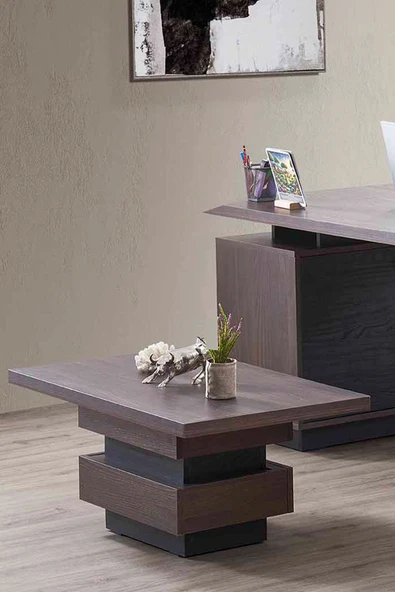 İYENA HOME LİVİNG Edessa Ofis Sehpası Ceviz ürün görseli 1