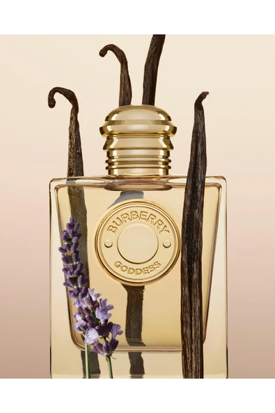 Burberry Goddess Edp 100 ml Kadın Parfüm - Resim 6