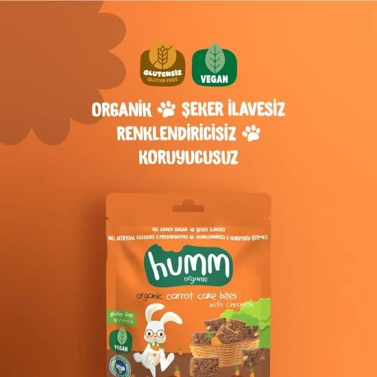 Organik Havuçlu Tarçınlı Vegan Kek 30 Gr ürün görseli 1