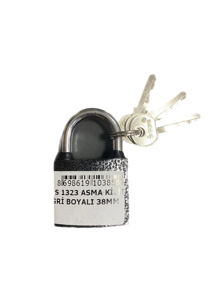 SGS 1323 ASMA KİLİT GRİ BOYALI 38MM ürün görseli 1