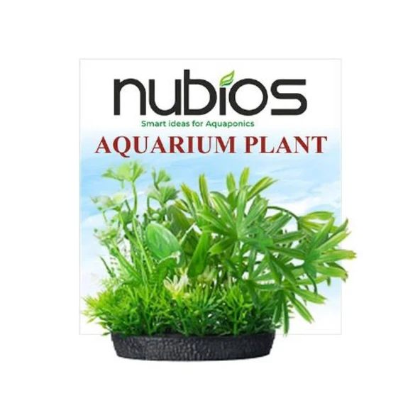 Nubios Kare Tabanlı Plastik Bitki 10 Cm ürün görseli 1