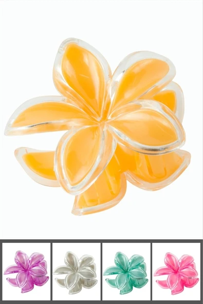 Lotus Renkli Mandal Toka 8 cm ürün görseli 1